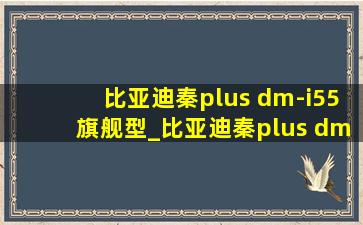 比亚迪秦plus dm-i55旗舰型_比亚迪秦plus dm-i55旗舰型怎么样